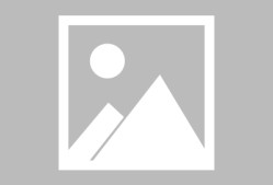 爱游戏-纽卡客场不敌布赖顿，客场战表现疲软 